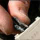 Illustration for article titled Survivornerd: How to Start a Fire With Your Cellphone